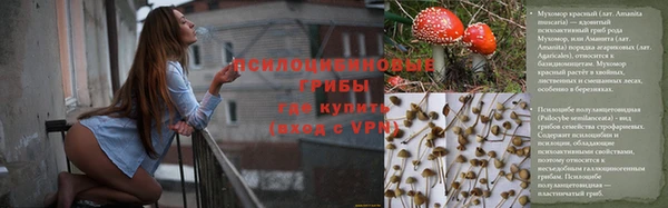 jwh Вязьма