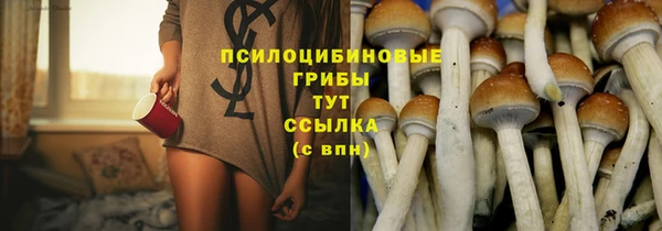 jwh Вязьма
