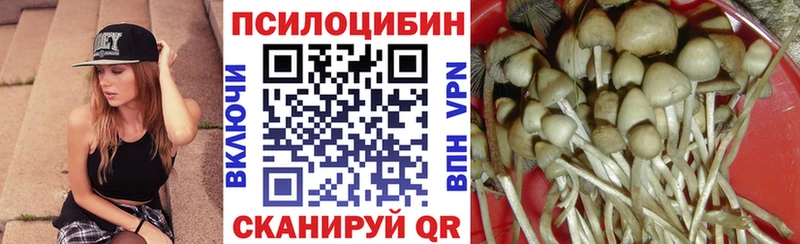 Псилоцибиновые грибы Cubensis  Купить закладки  Ковылкино 