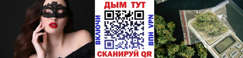 Бошки Шишки THC 21%  Купить где  Ковылкино 